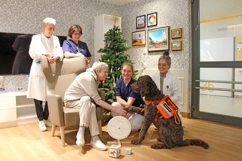 Zu sehen ist der Hund Spike, der einer PAtintin, die in einem Ohrensessel sitzt die Pfote gibt. Um die beiden herum sind vier Frauen in Krankenhauskleidung zu sehen.