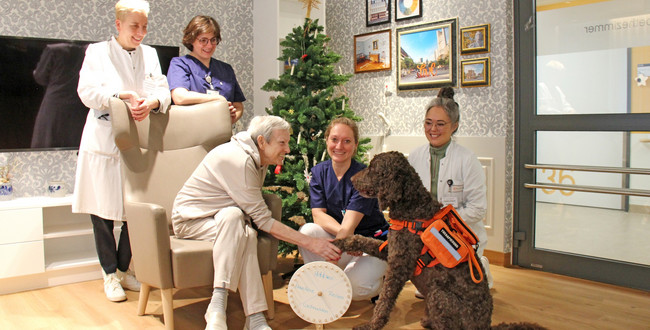 Zu sehen ist der Hund Spike, der einer PAtintin, die in einem Ohrensessel sitzt die Pfote gibt. Um die beiden herum sind vier Frauen in Krankenhauskleidung zu sehen.