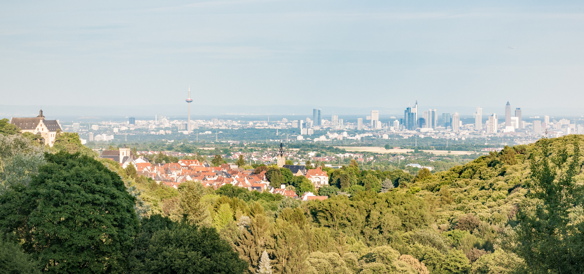 Blick vom Taunus auf die Frankfurter Skyline
